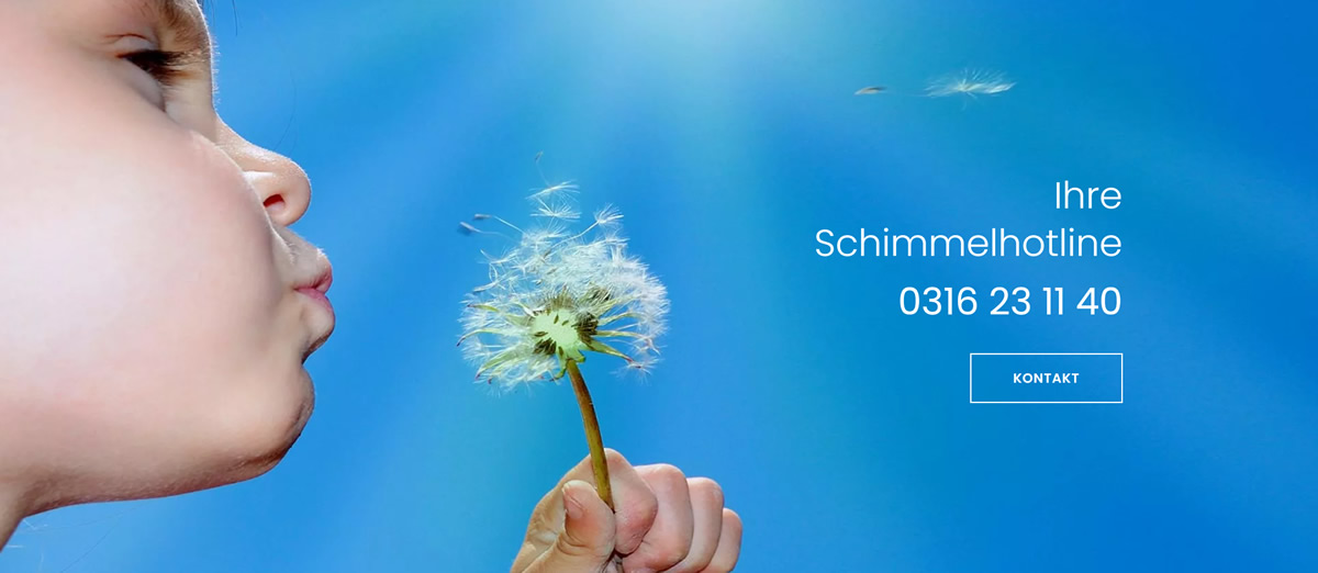 Schimmel & Schimmelentfernung Graz: Schimmelbeseitigung, Schimmelschutzmaßnahmen