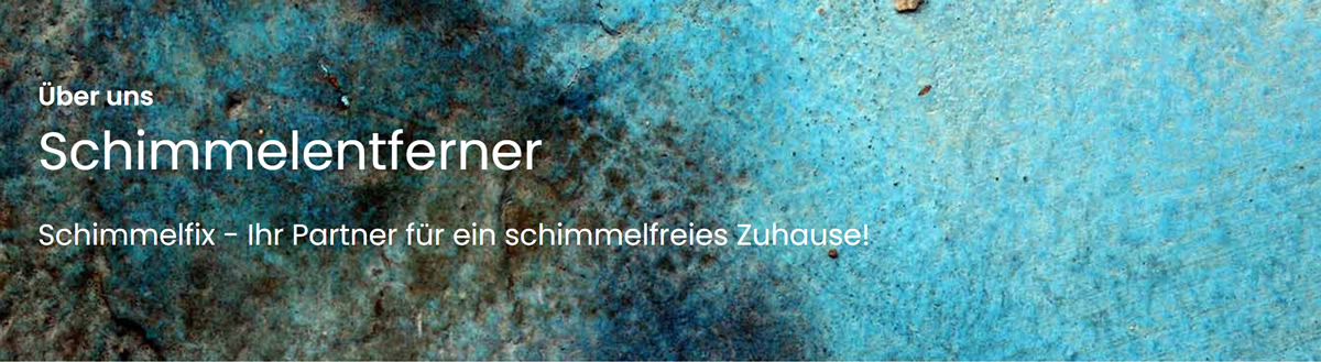 Schimmelsanierung in  Graz, Thal, Gössendorf, Seiersberg-Pirka, Feldkirchen bei Graz, Kalsdorf bei Graz, Kainbach bei Graz und Kirchbach-Zerlach, Raaba-Grambach, Hart bei Graz